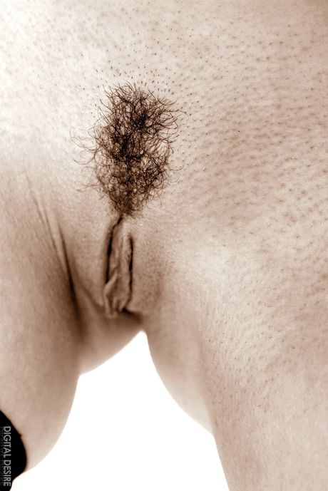 digital desire: Blonde british centerfold Martina Warren highlights her amazing boobs and poses in stockings