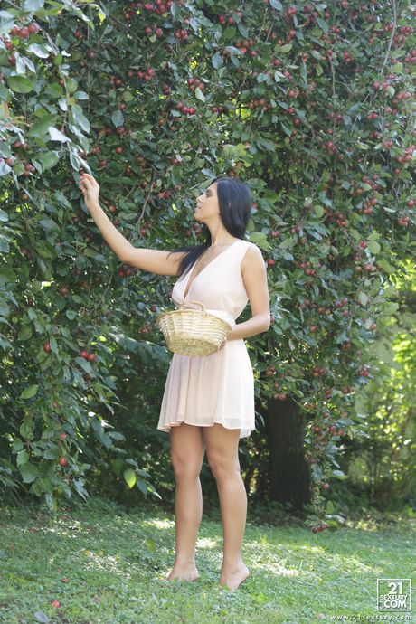 the very best of: The Very Best Of best photos with Lolly Moon, Jess, Susie Pink, Alexia, Verunka, Dominica Phoenix and others