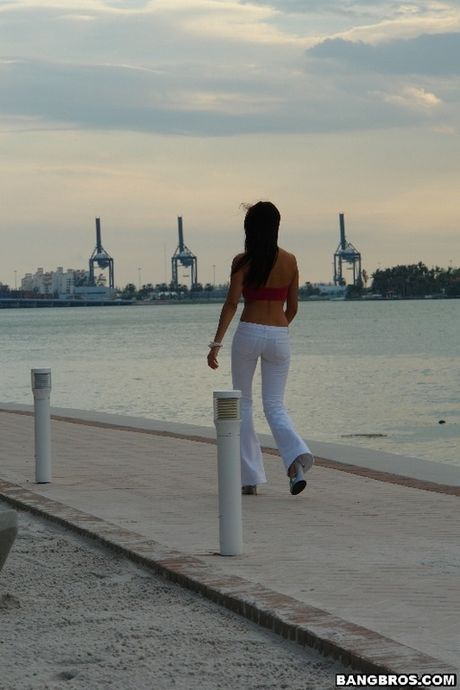 bangbros: La maravillosa asiática Nikki Johnson se deja lamer el coño caliente al aire libre y se la follan