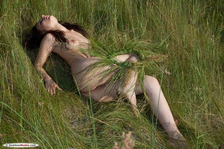 goddess nudes: La nana solo Isabel B exhibe ses jolis seins et sa chatte dans un champ de blé