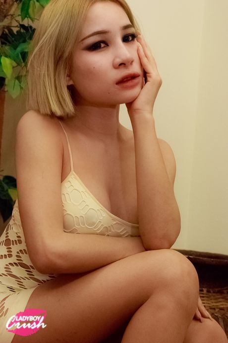 ladyboy gold: Azjatycka transseksualistka Pao ssie wielkiego kutasa i pozwala się ruchać w tyłek