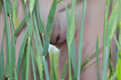 met art: Hot ukrainian cutie Melani A demonstrates her big racks and models in the raw state in the field