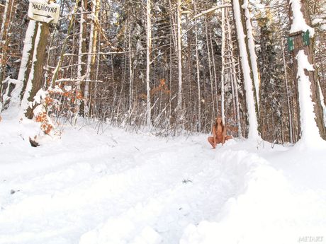 met art: De mooie Tsjechische babe Michelle B ontbloot zichzelf op een bevroren meer tijdens de winter