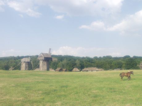 met art: A simpática garota ucraniana Katya B desnuda seu corpo sobre um cobertor em um campo