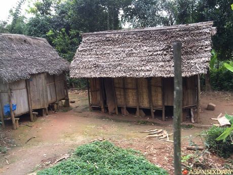 asian sex diary: Cute ukrainian stunner Vanessa C gets naked on a blanket in a field of wheat