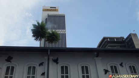 Asian pornstars porn photos