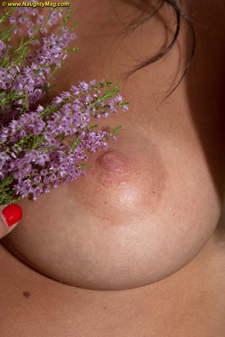 naughty mag: 黒髪の美女ディーが森の中で毛布の上で裸になる