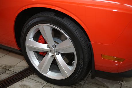 watch 4 beauty: La bella checa de cabello claro Terka muestra sus increíbles tetas y su coño recortado en un auto